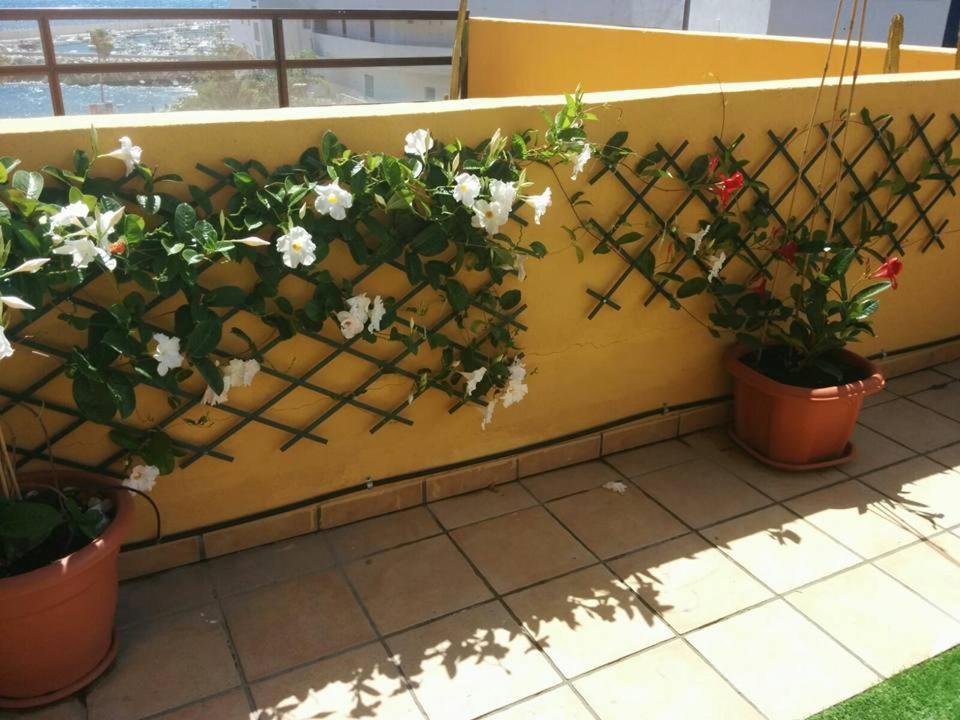 431 - Edif Aguamarina - Vacation Rental Home In The Coast Line Of Golf Del Sur San Miguel de Abona Exterior foto