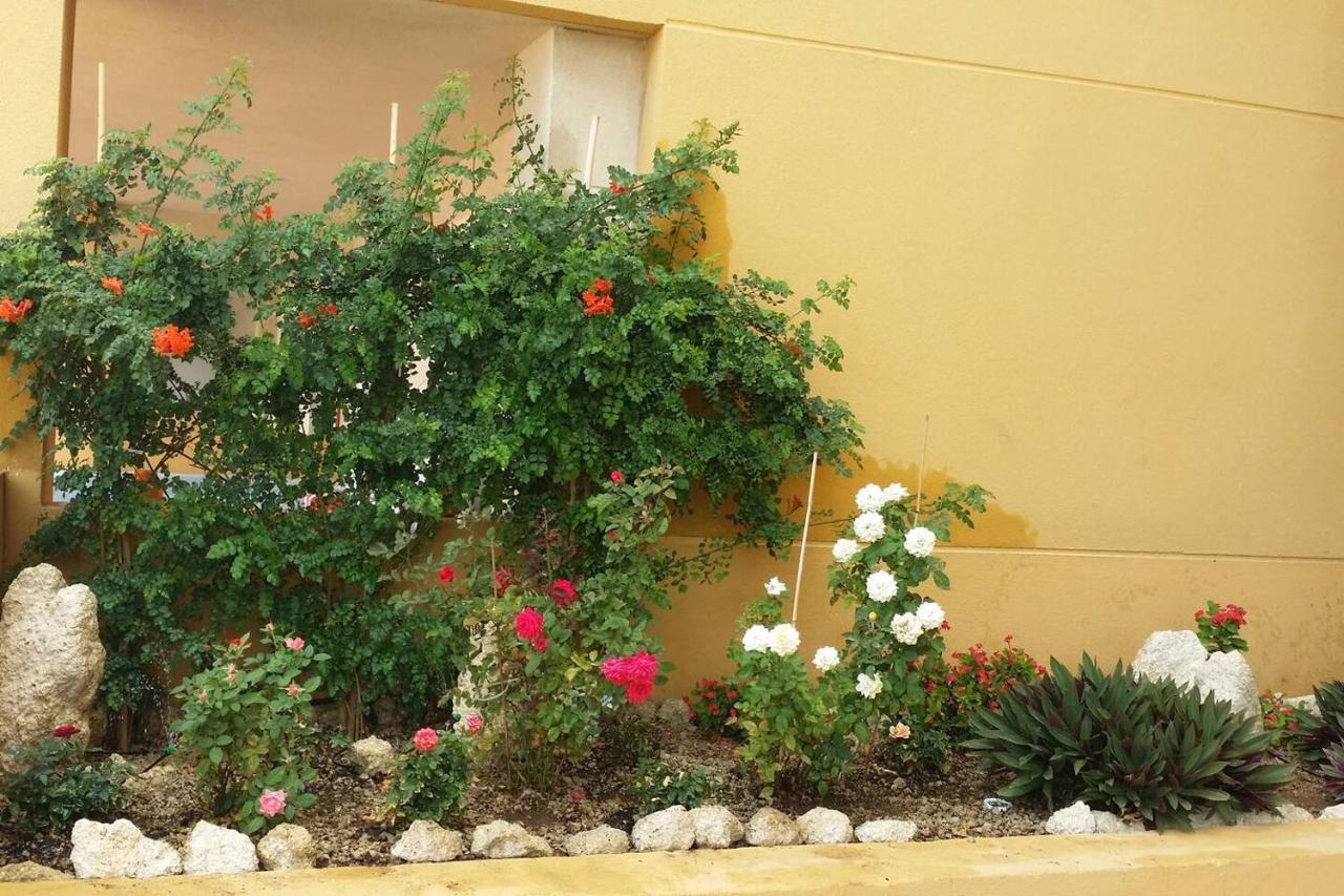 431 - Edif Aguamarina - Vacation Rental Home In The Coast Line Of Golf Del Sur San Miguel de Abona Exterior foto